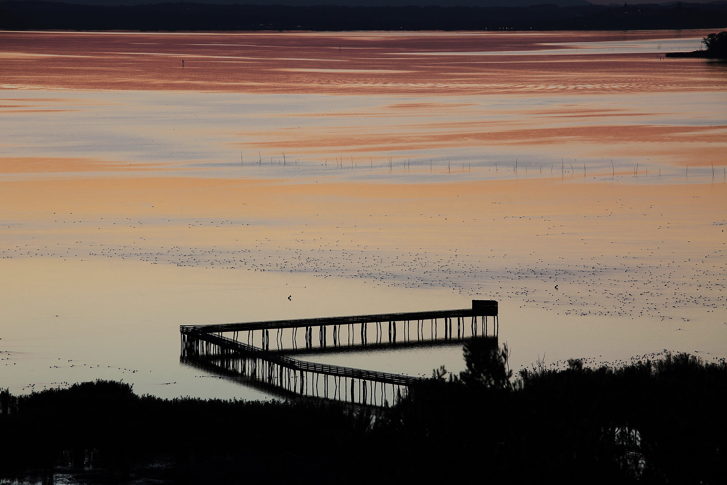 Il pontile nell'oasi