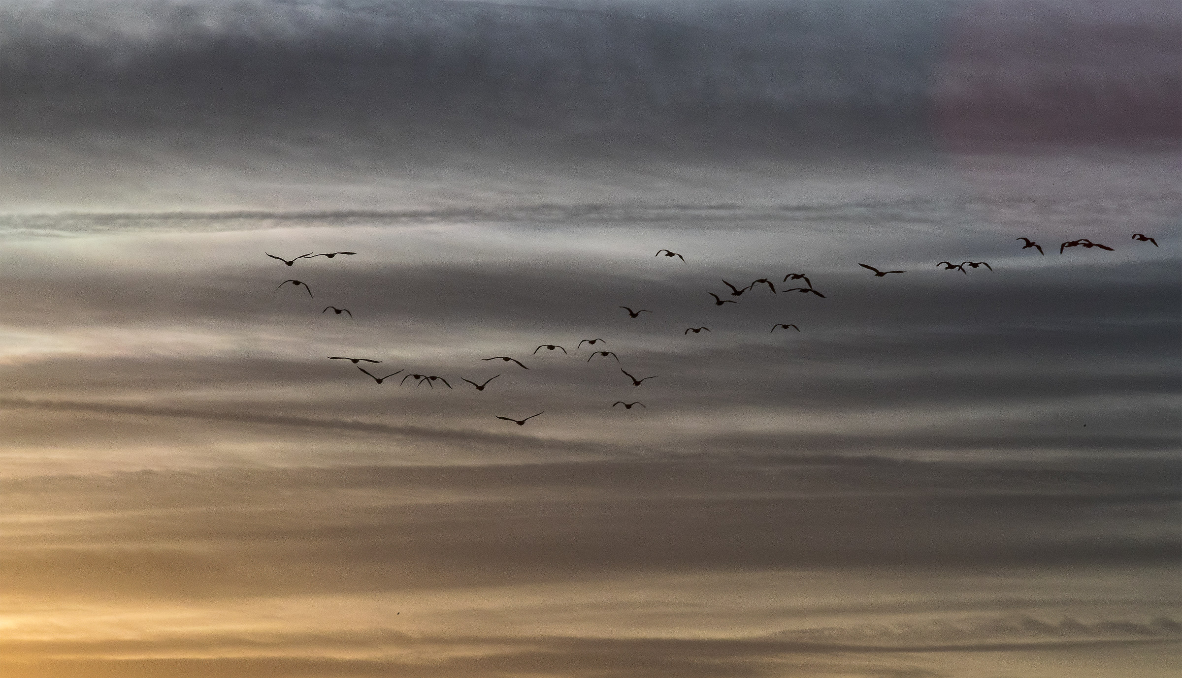 il volo in formazione
