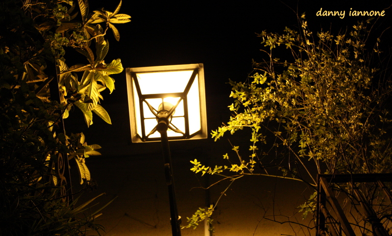 lampada notturna