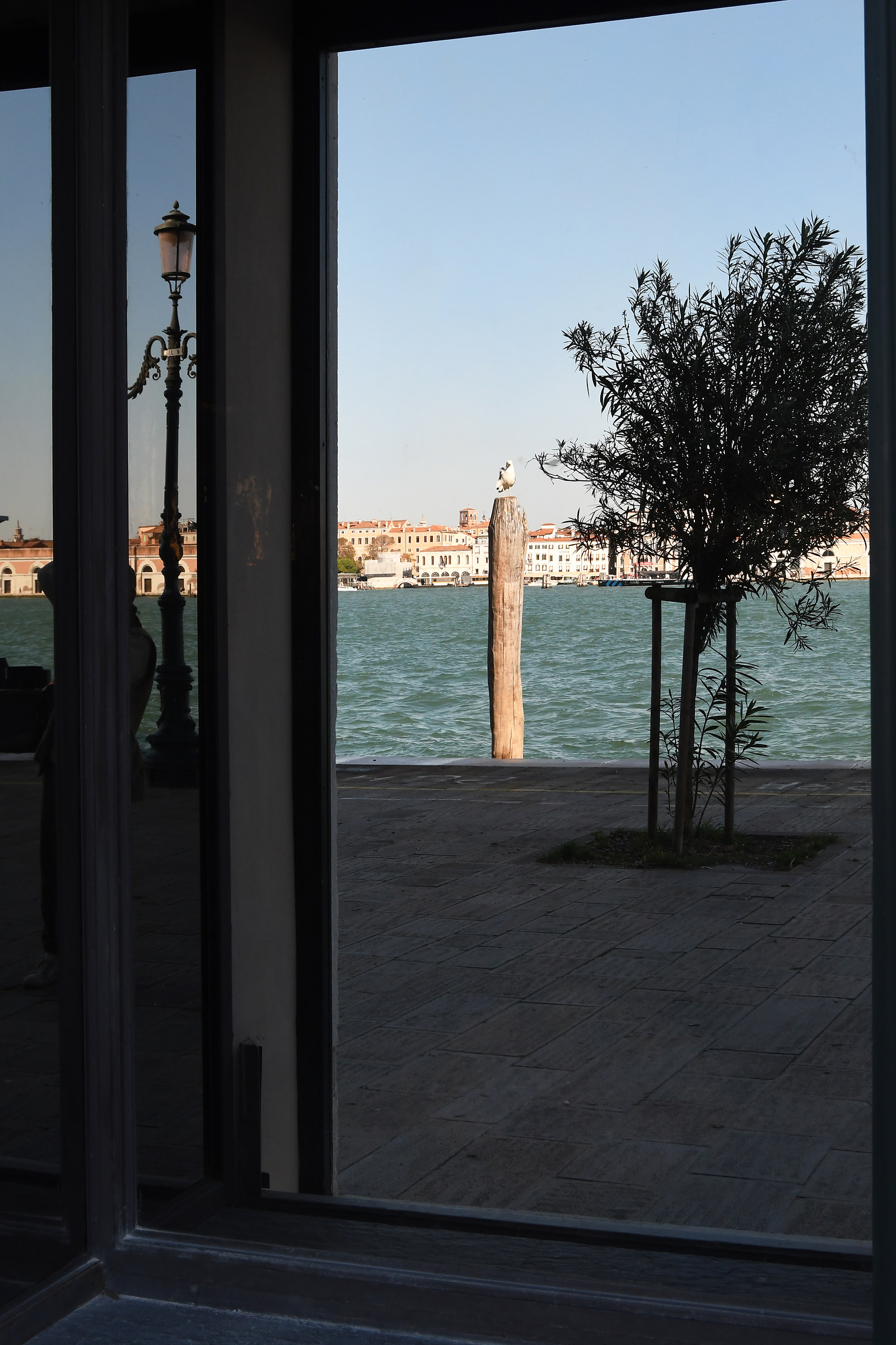 From the Giudecca, an unusual Riva degli Schiavoni