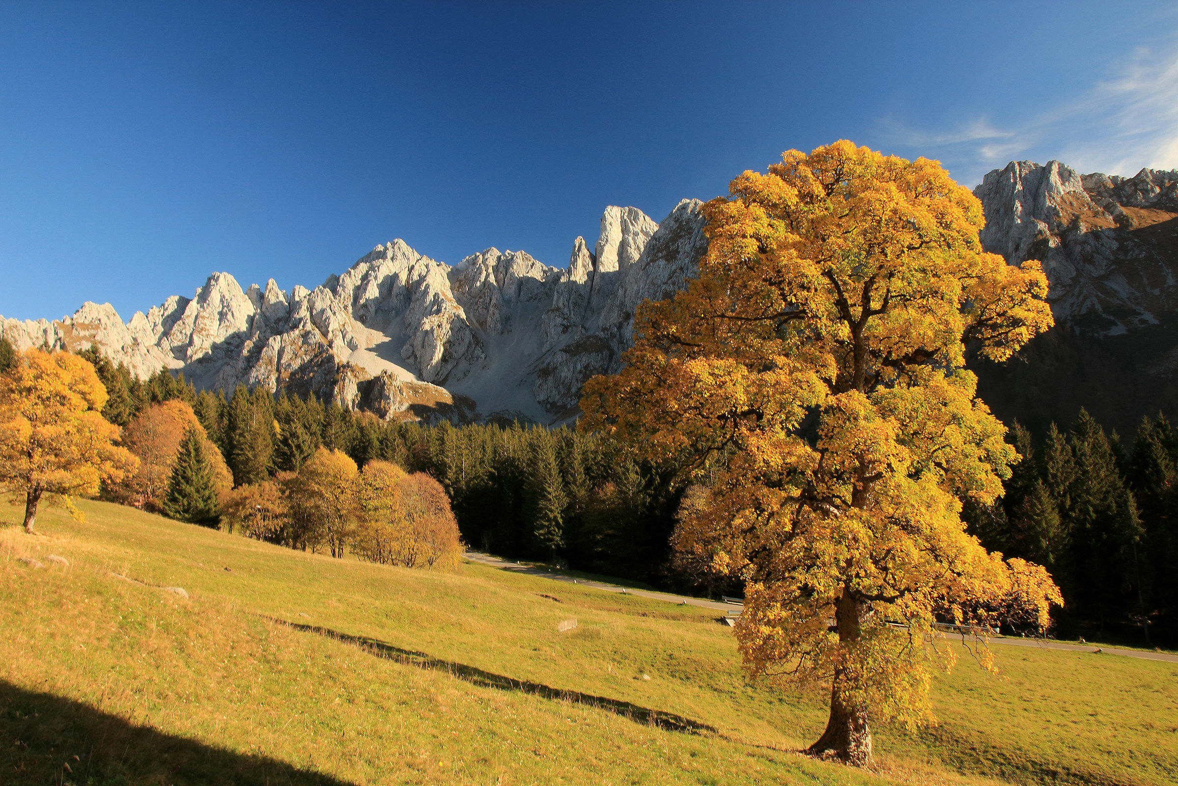 Autumn at the Campelli of Schilpario