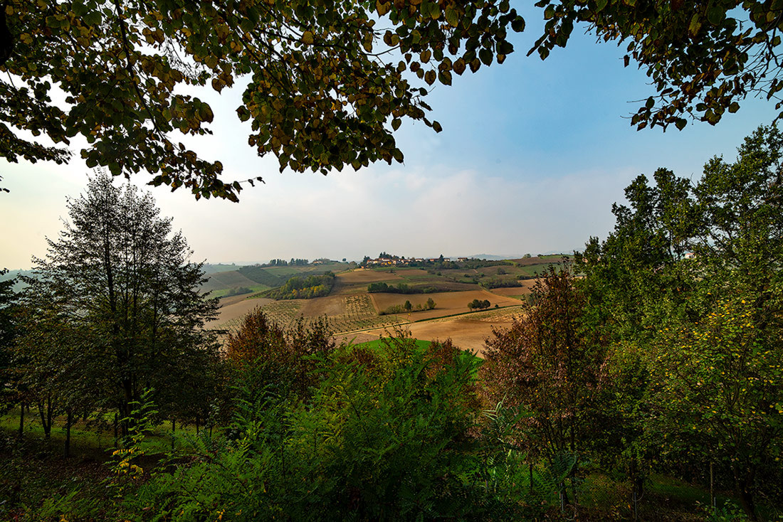A window on the Monferrato