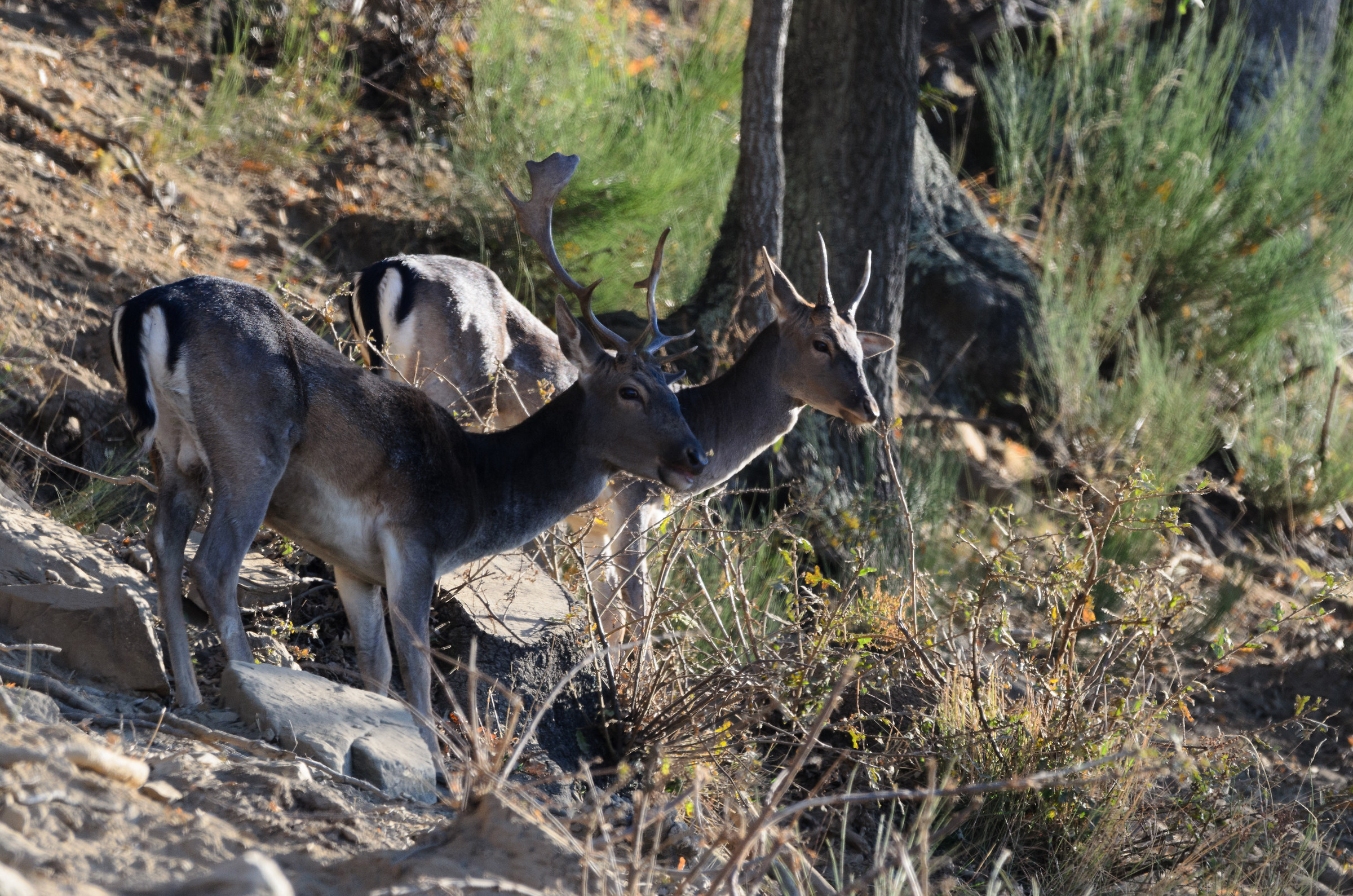 sguardi verso il futuro