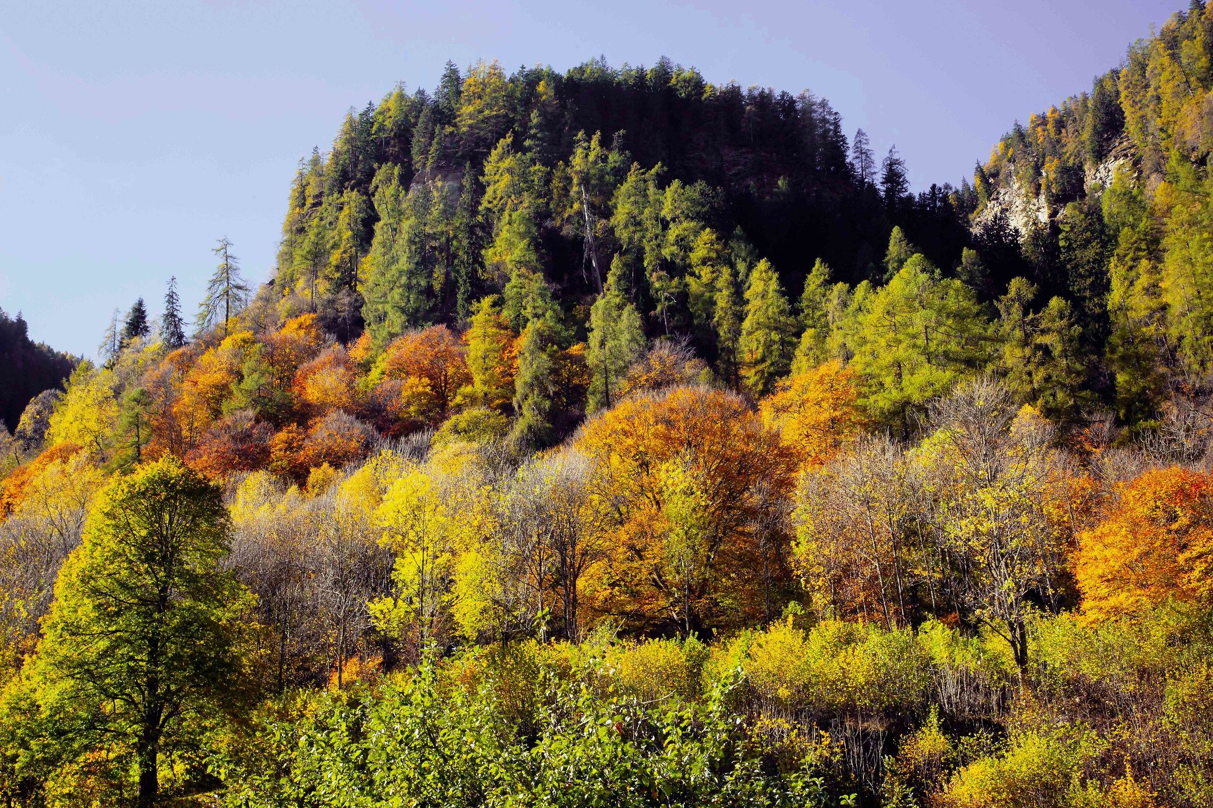 Autunno in Val Calanca
