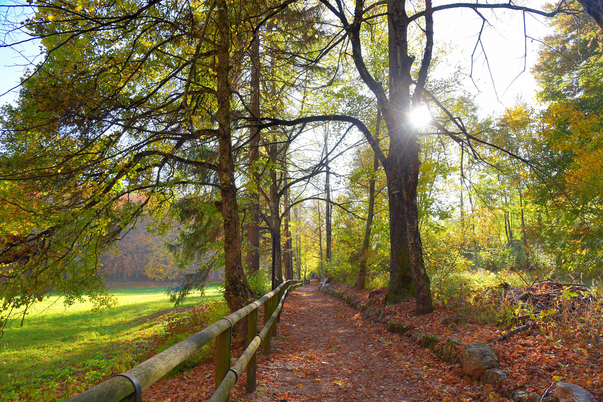Sul viale del tramonto