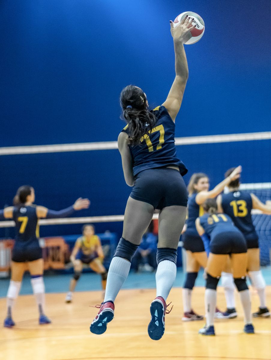 La Solitudine dei Numeri Primi