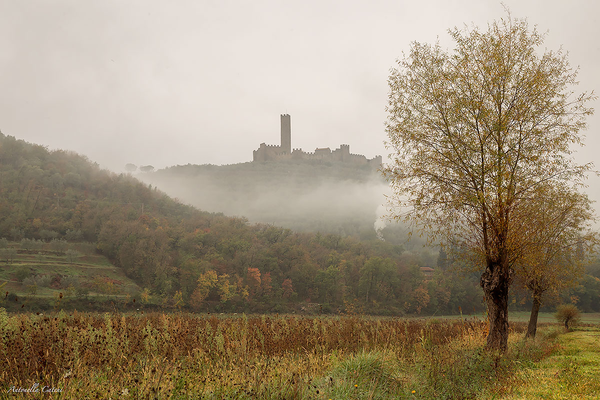 Castello nella nebbia