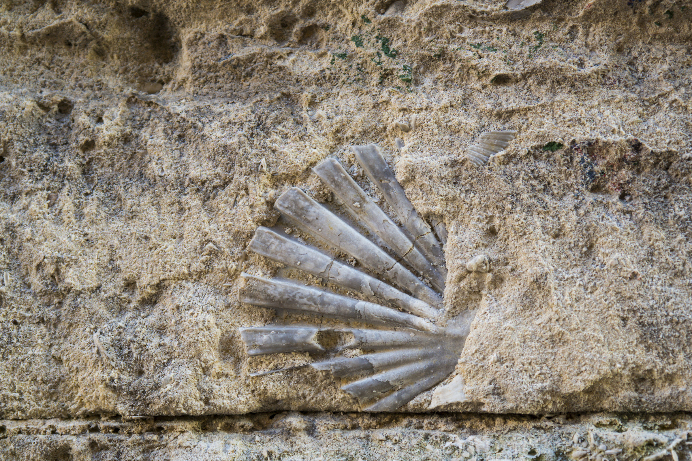 C'era una volta il mare