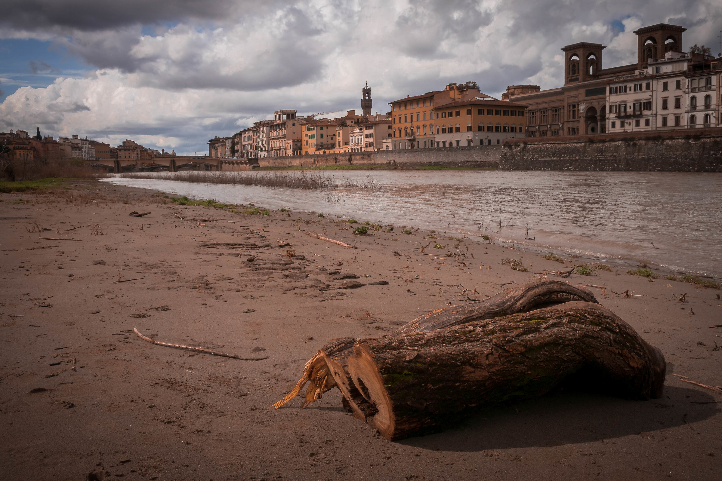 Sulle rive dell'Arno