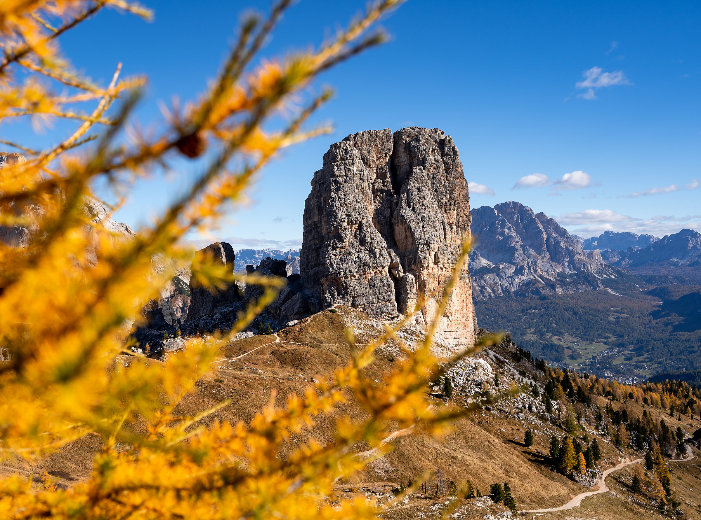A touch of natural yellow!