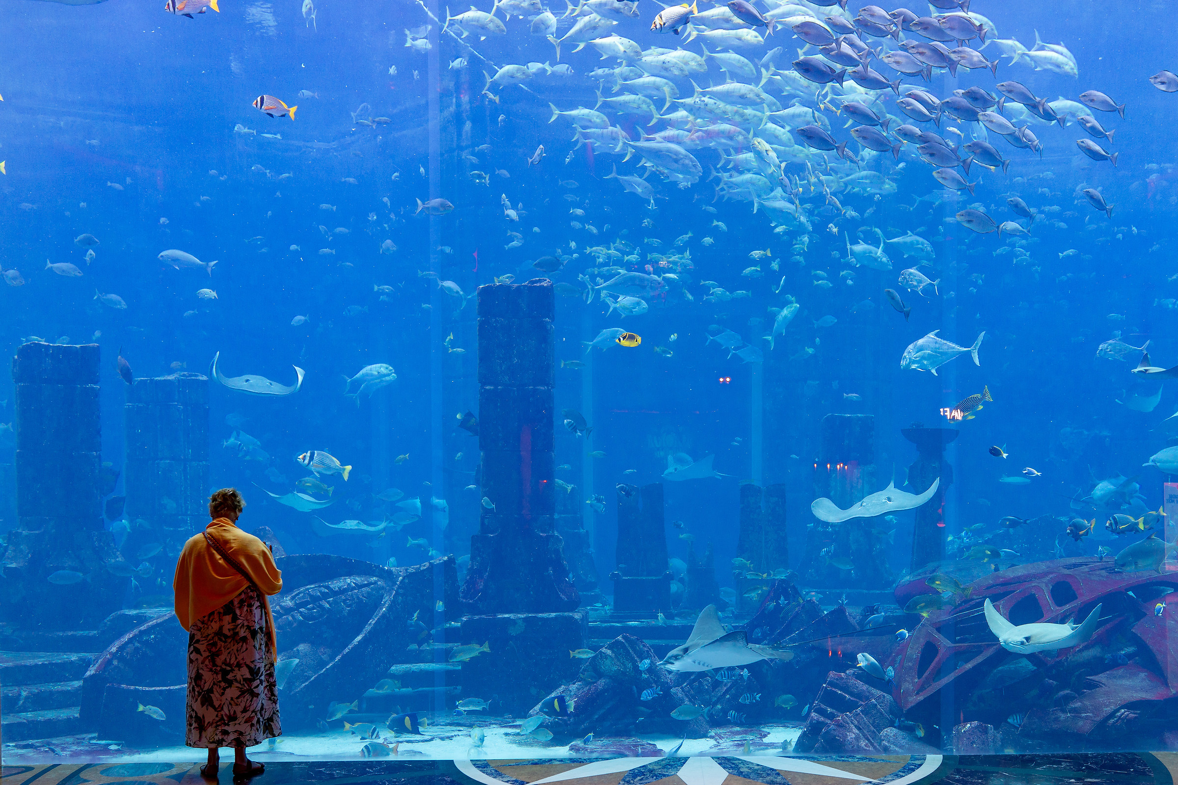 acquario dubai