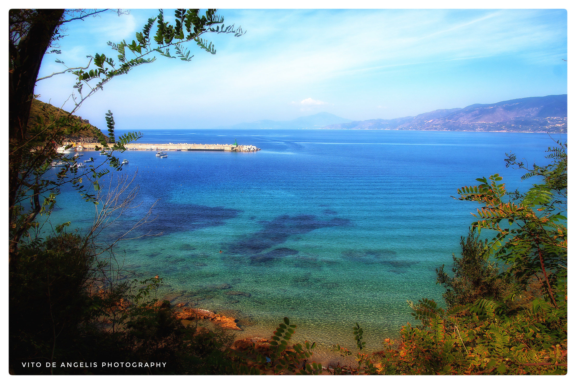 Between the branches