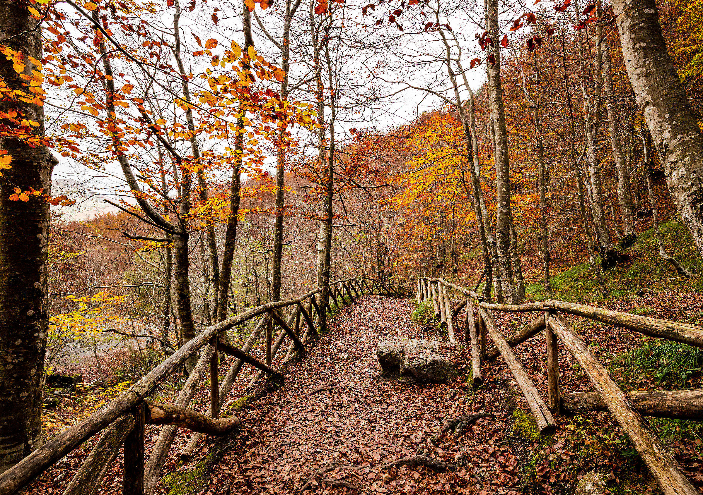 Andiamo verso l'autunno