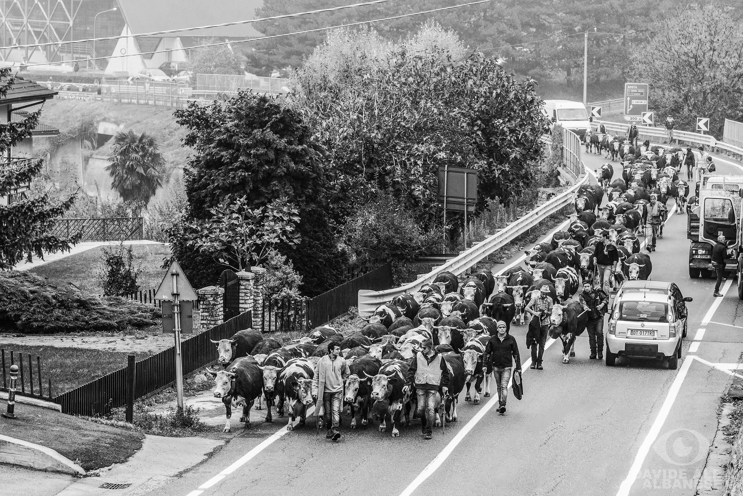 Saint-Vincent (AO), désarpa of 27/10/2018