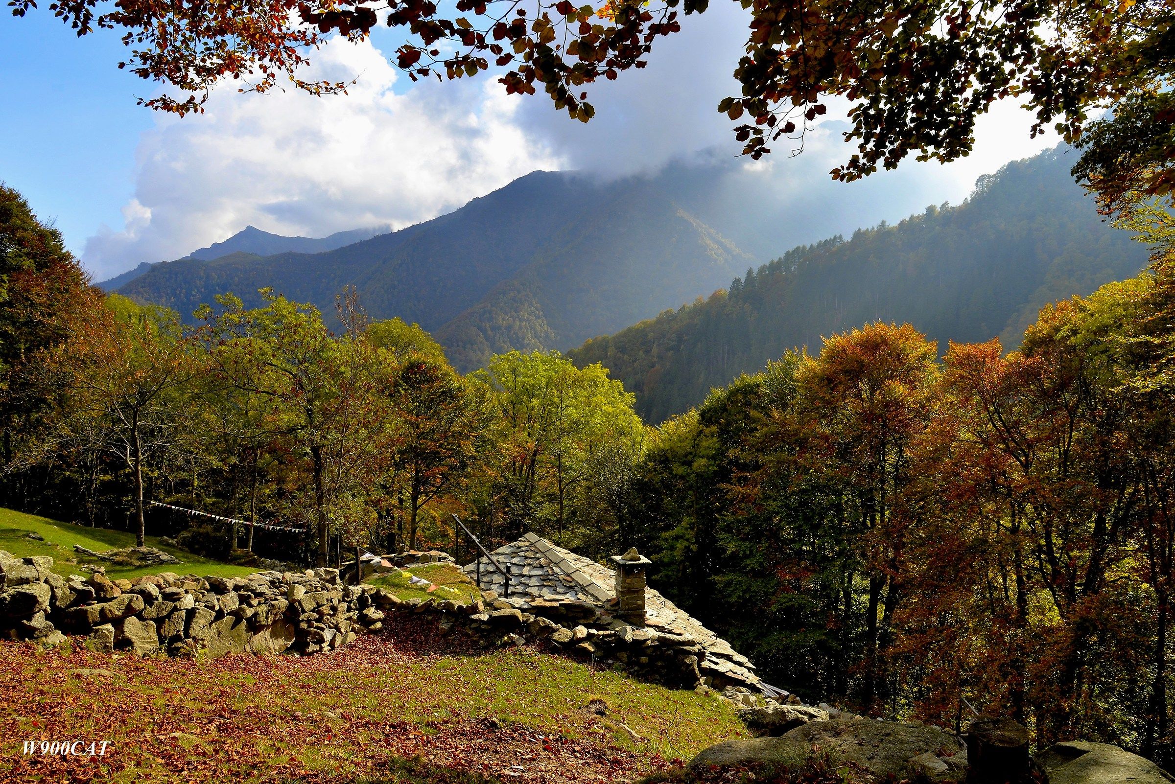 il mio autunno da quassu'