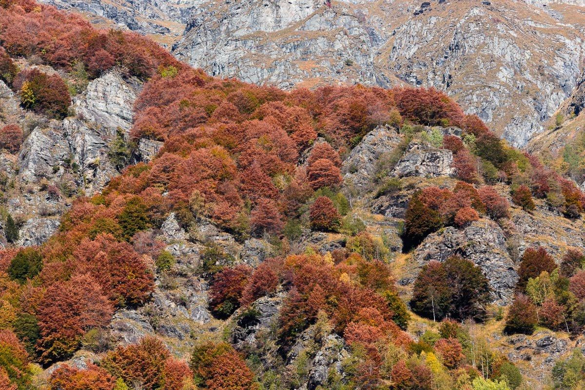 Autumn glimpses of the Orobie Alps...