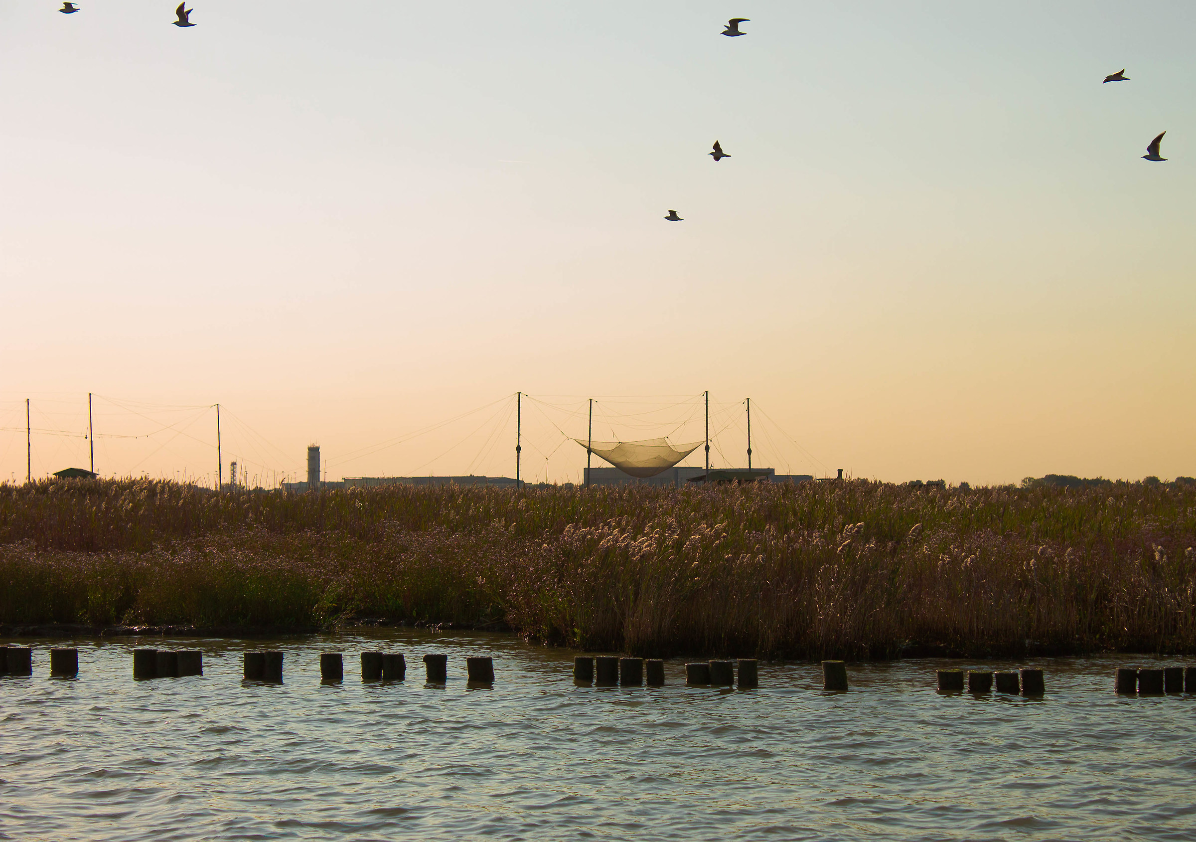 I trabucchi del fiume Dese