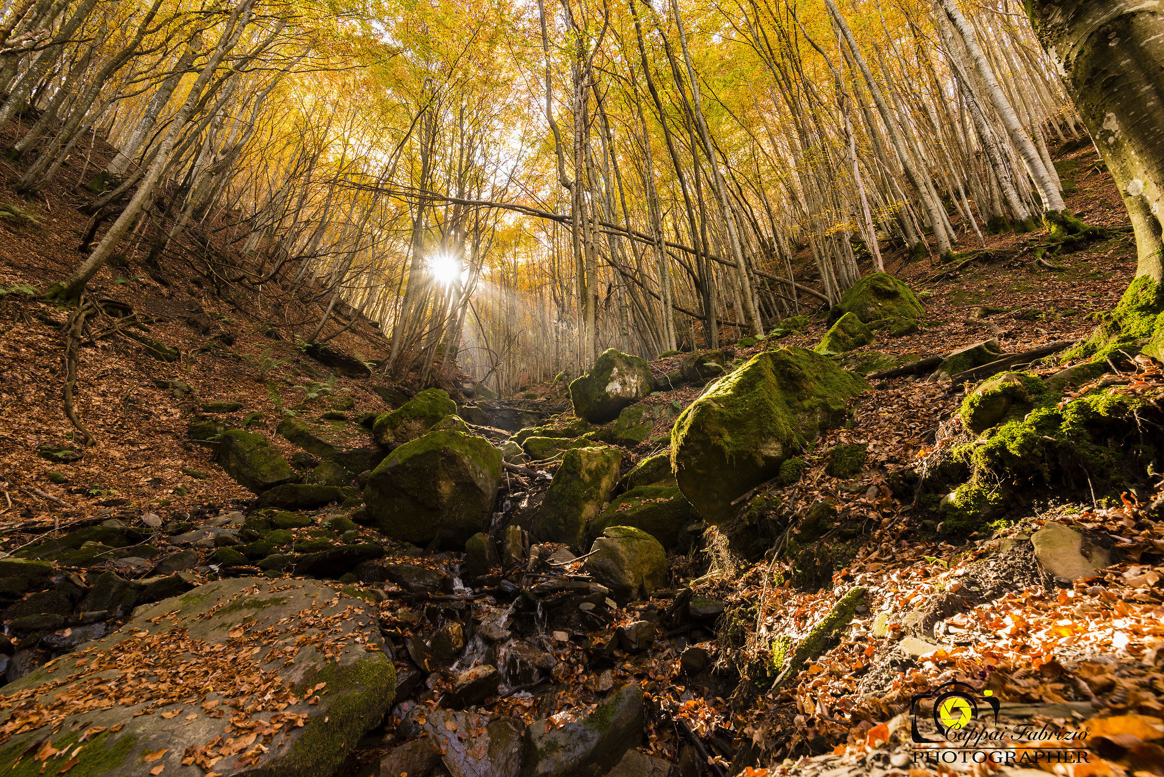 Waterfall of the Gargoion