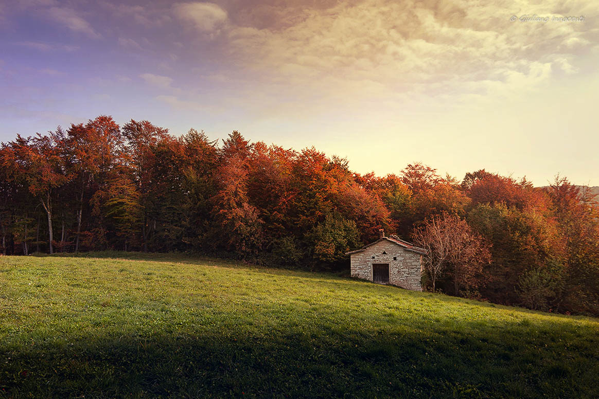 The cottage at the foot of the forest
