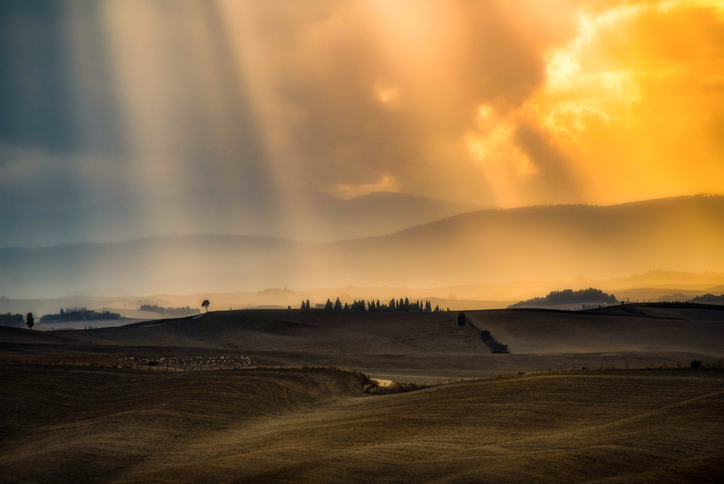 Le Mists Senesi (Part 2)