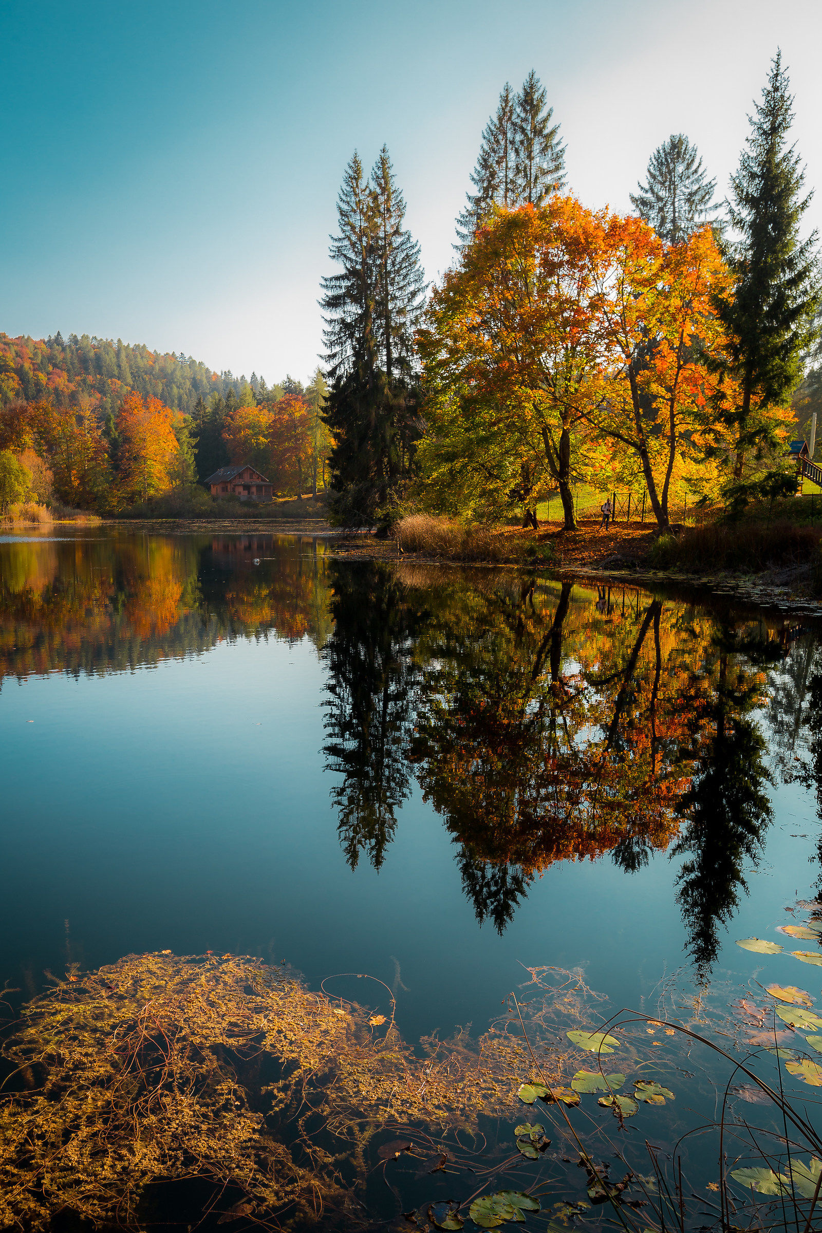 Autumn at the lake of Cei