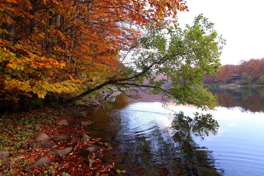 Lago Santo ed i suoi colori.