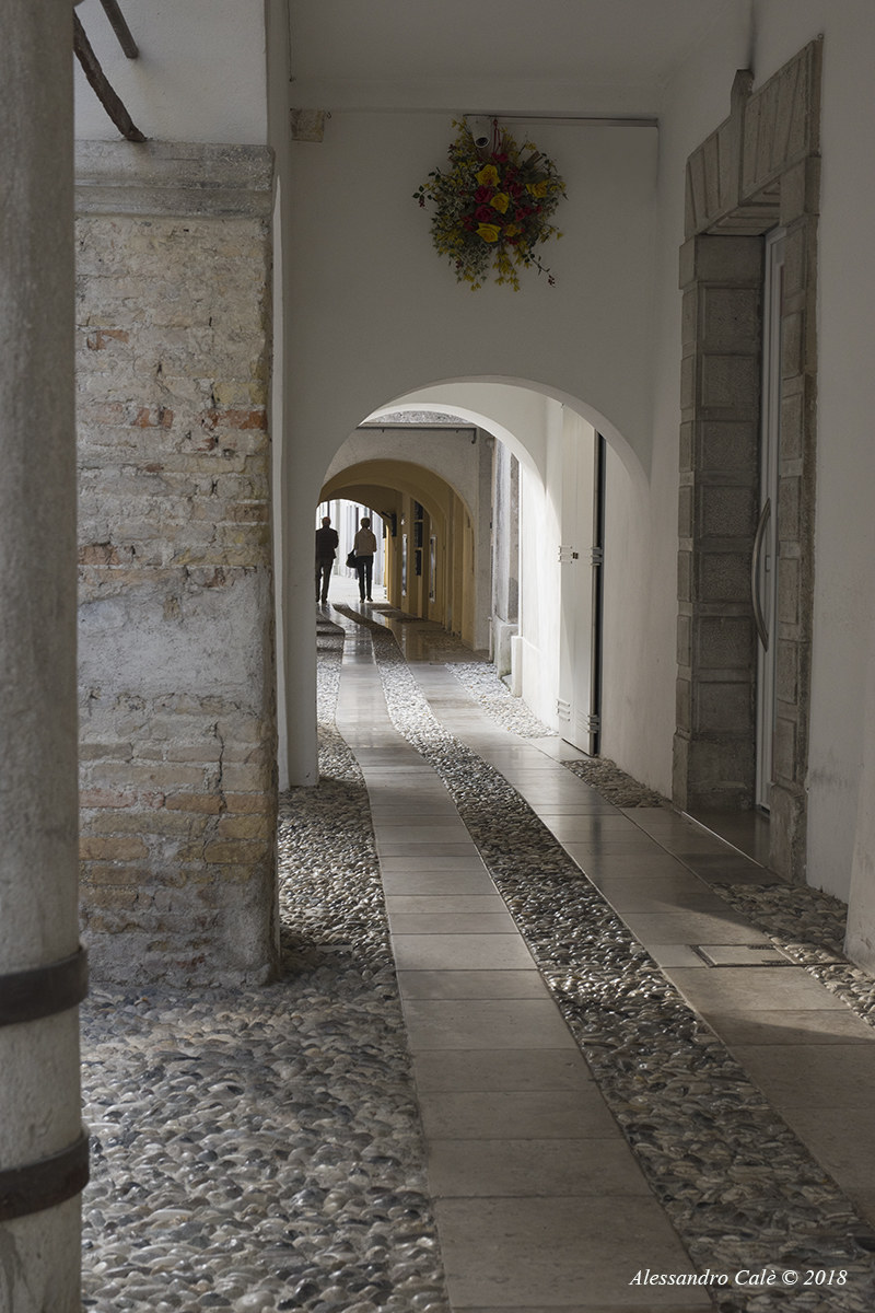 Spilimbergo a spasso lungo il corso 3959