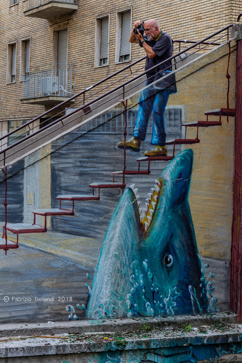 Il fotografo distratto...