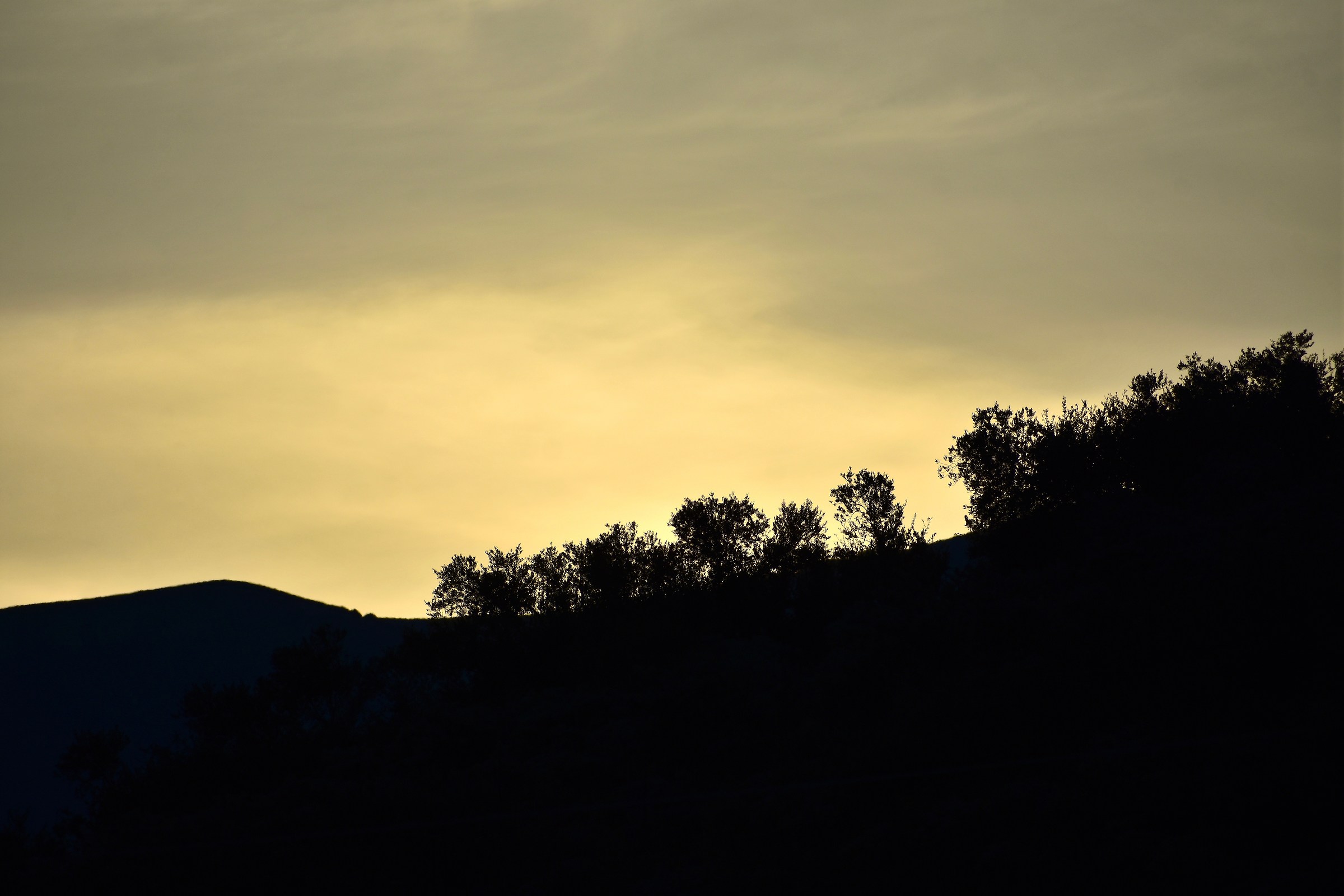 Dawn-October,10 2018