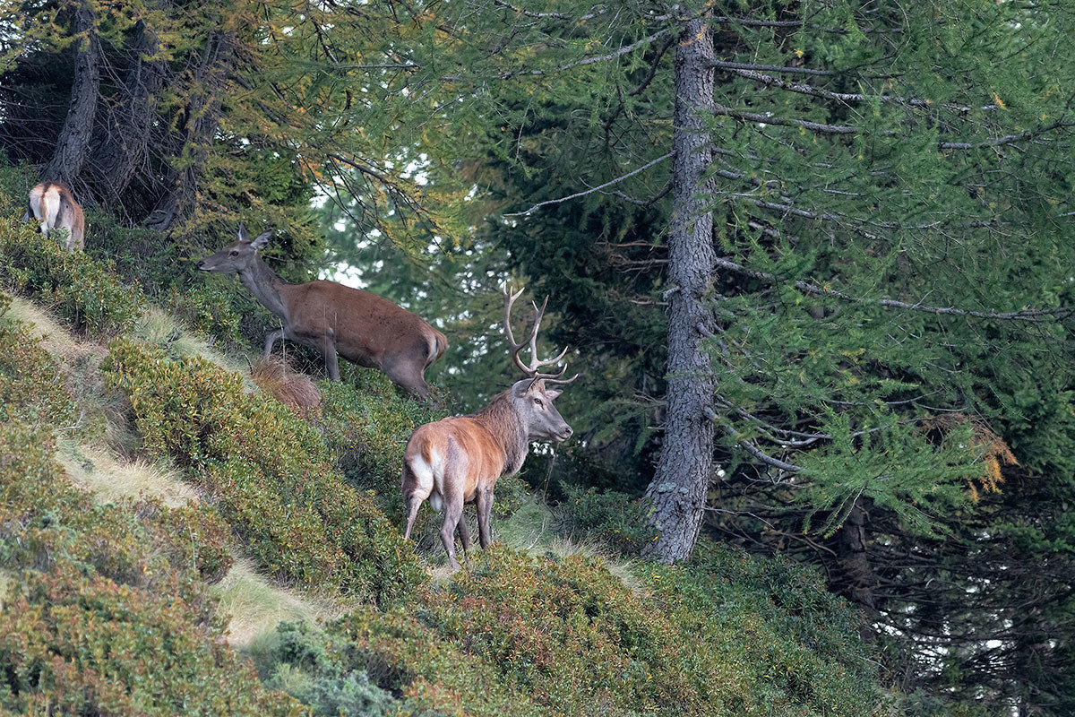 Watch out for rivals