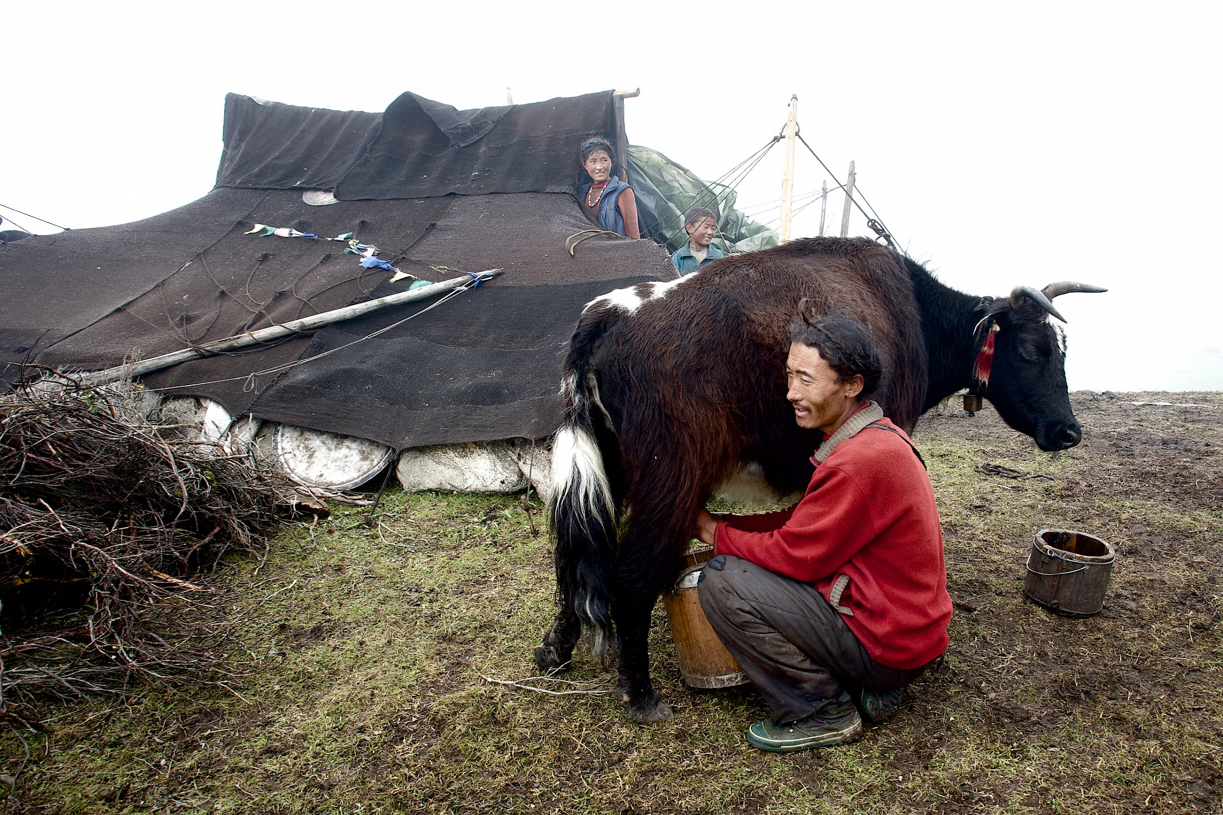 Mungitura - Kaamo Tsampo Valley 4150 m.
