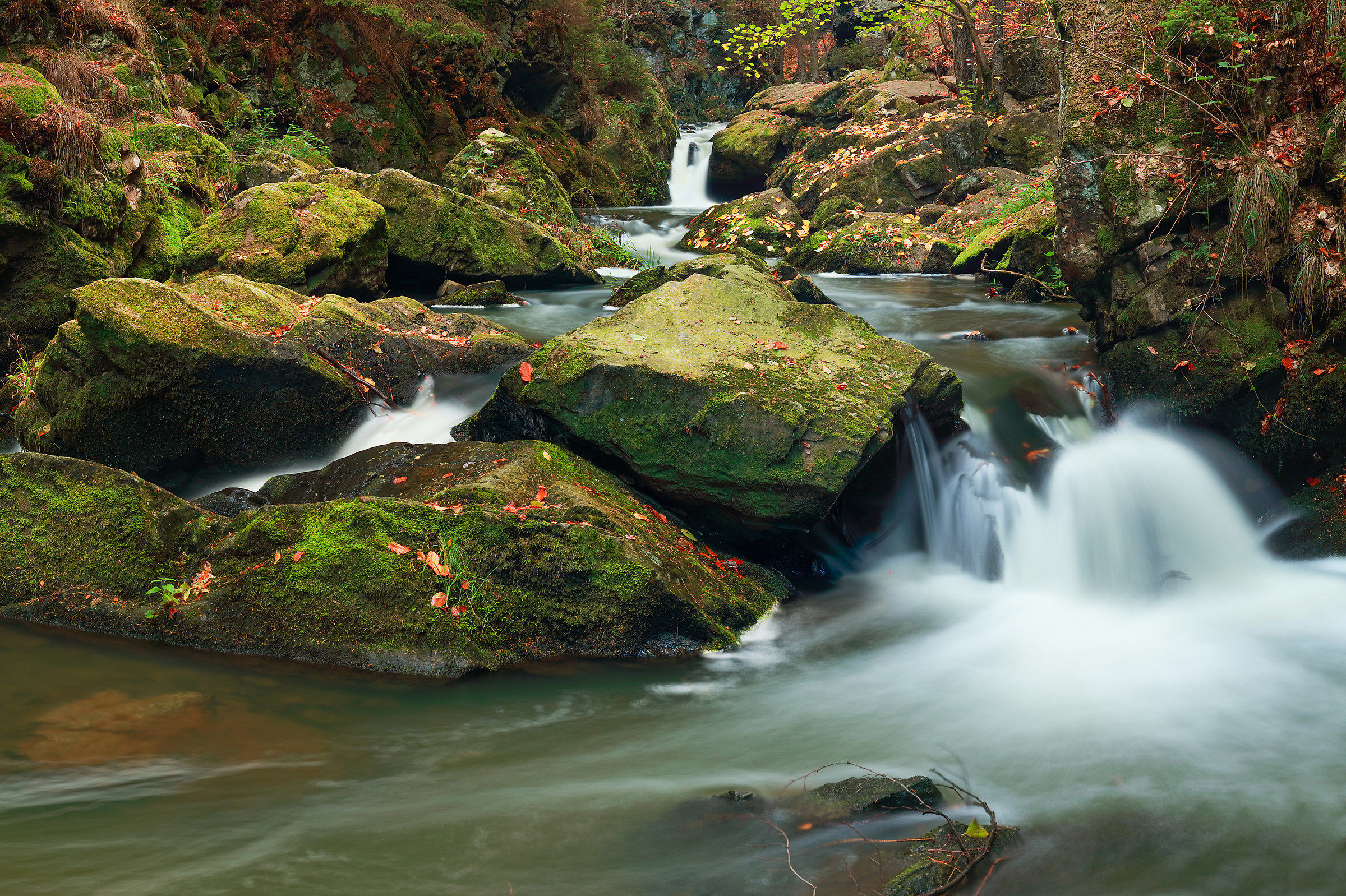 Nature reserve "Doubrava"