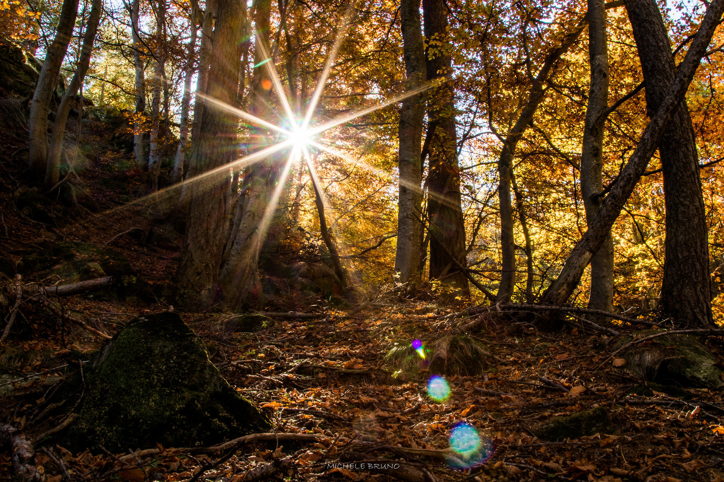 Semplicemente l'autunno...