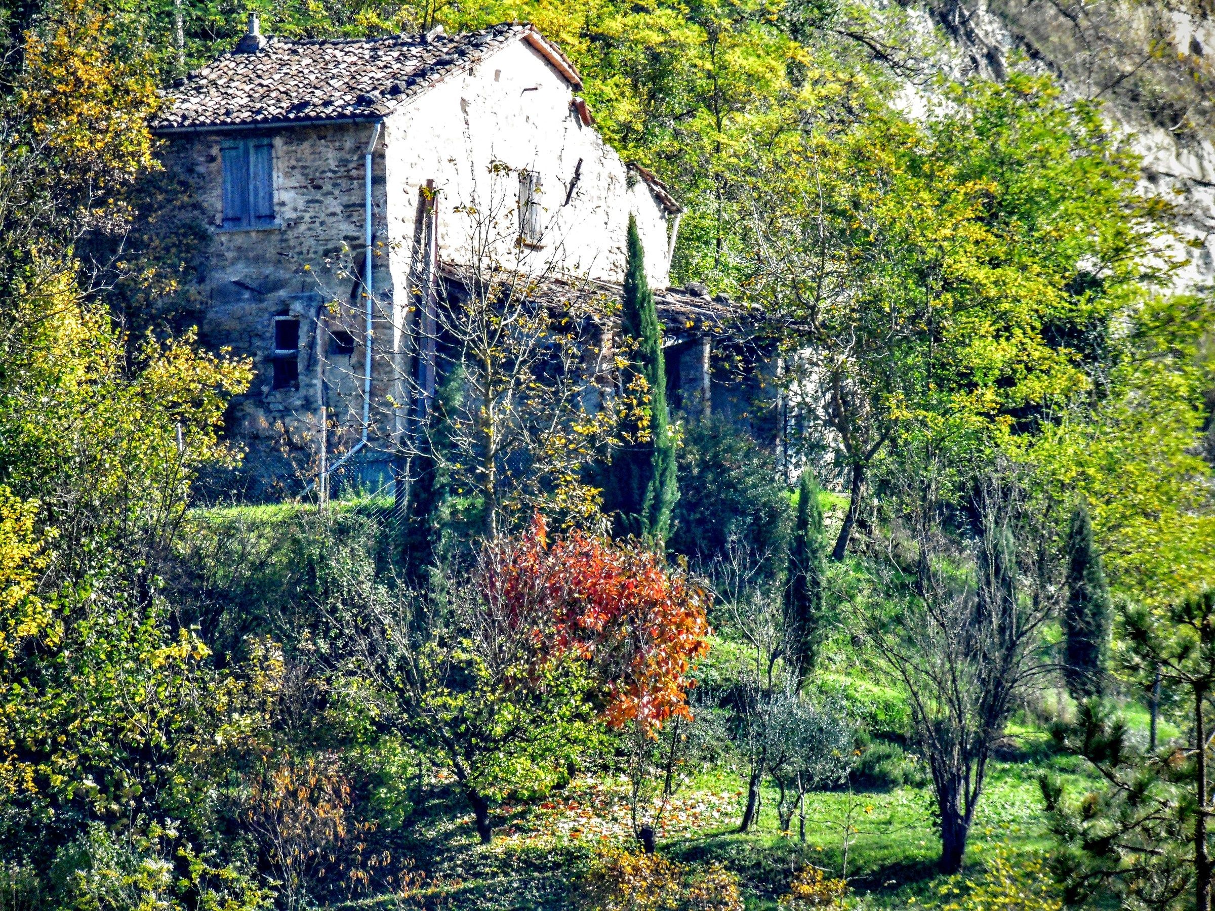 Una casa bianca circondata da colori