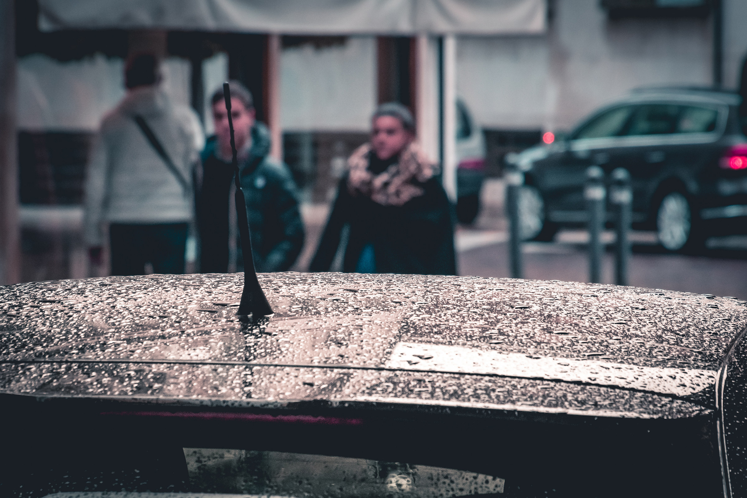 Mantua after the rain