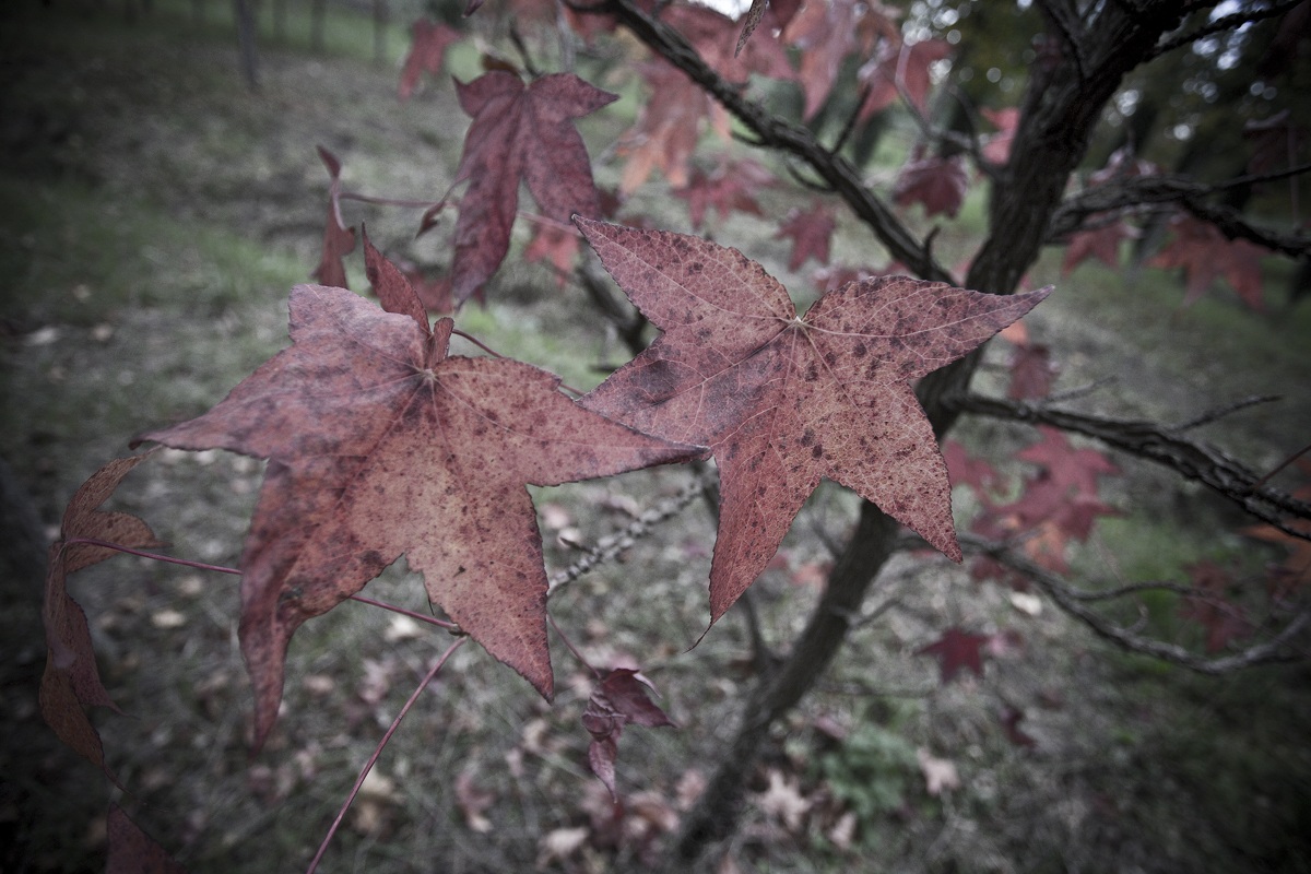 Together we fight the wind