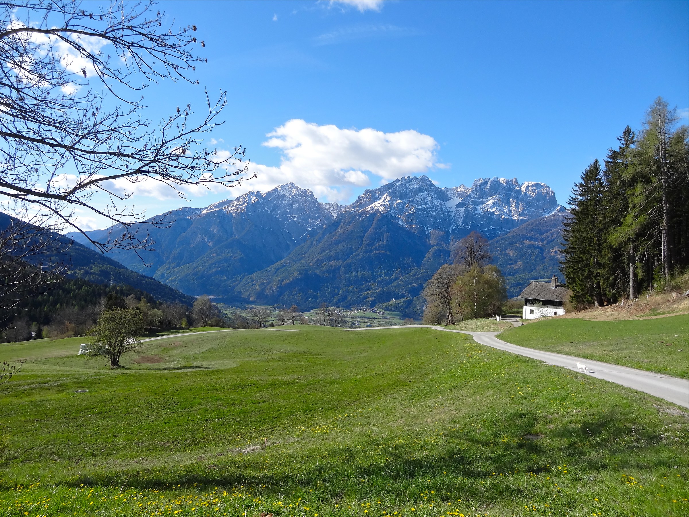 Iselsberg Stronach-Austria
