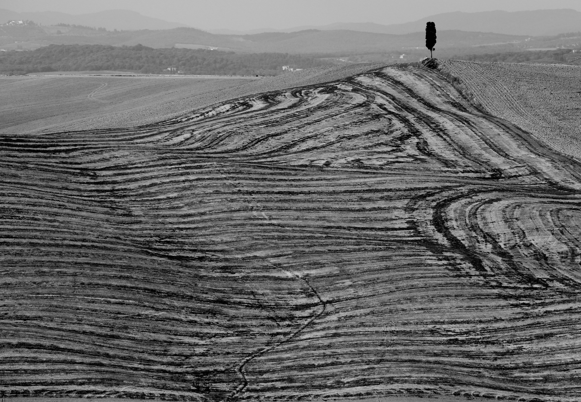 Crete Senesi B&W