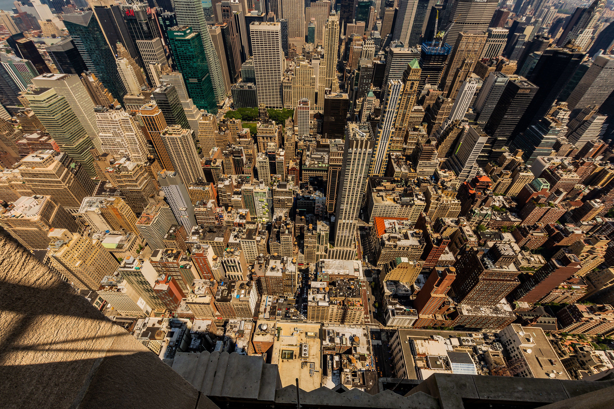 New York from the top