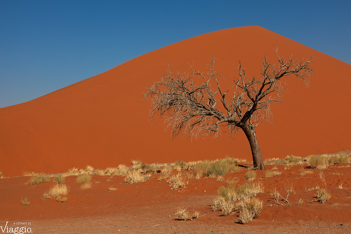 Namib.