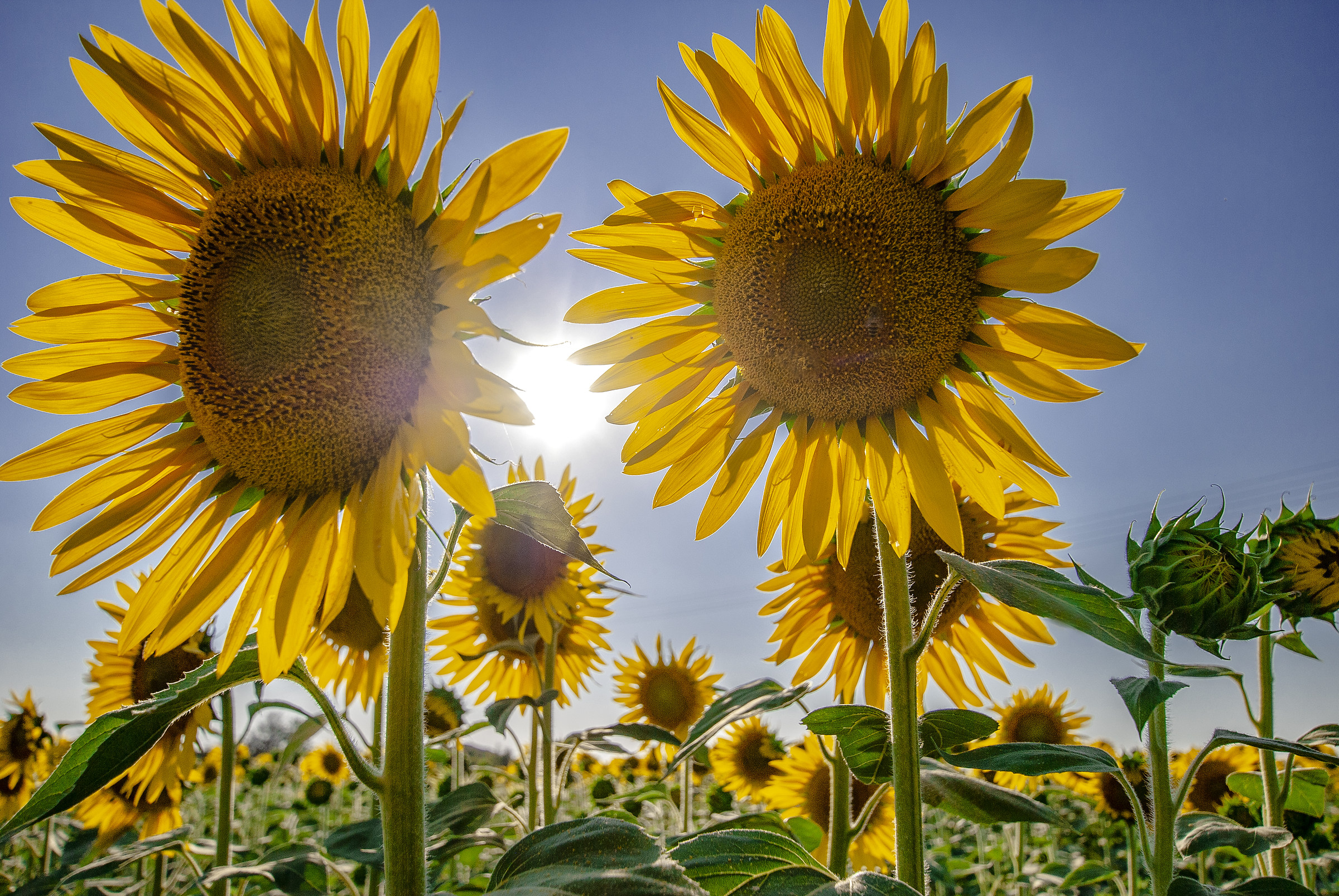 TravoltiDaUnInsolitoDestinoNell'AzzuroCieloD'Agosto