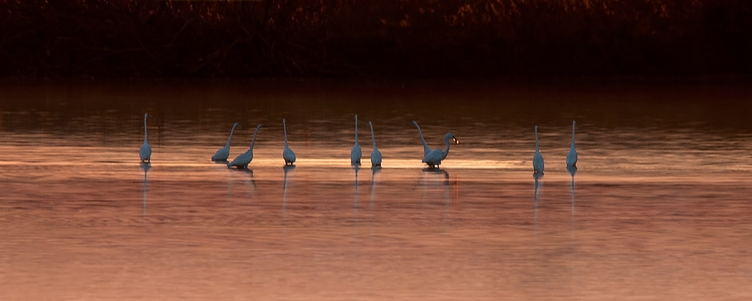 Enchanted by the sunset.