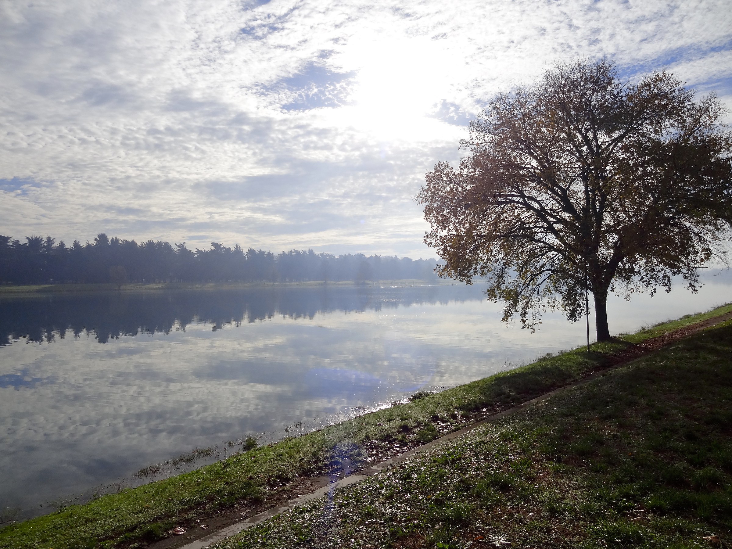 Reflections in the Water