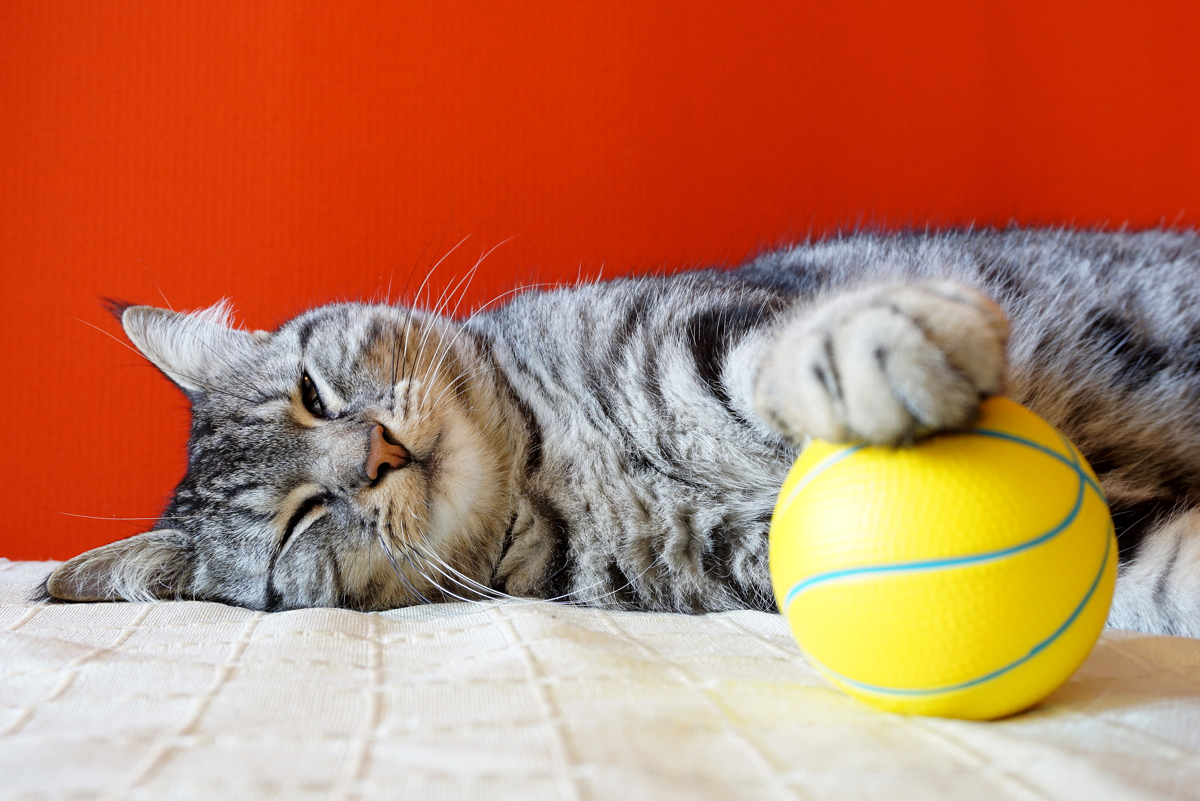 Lo sport preferito da Eddy