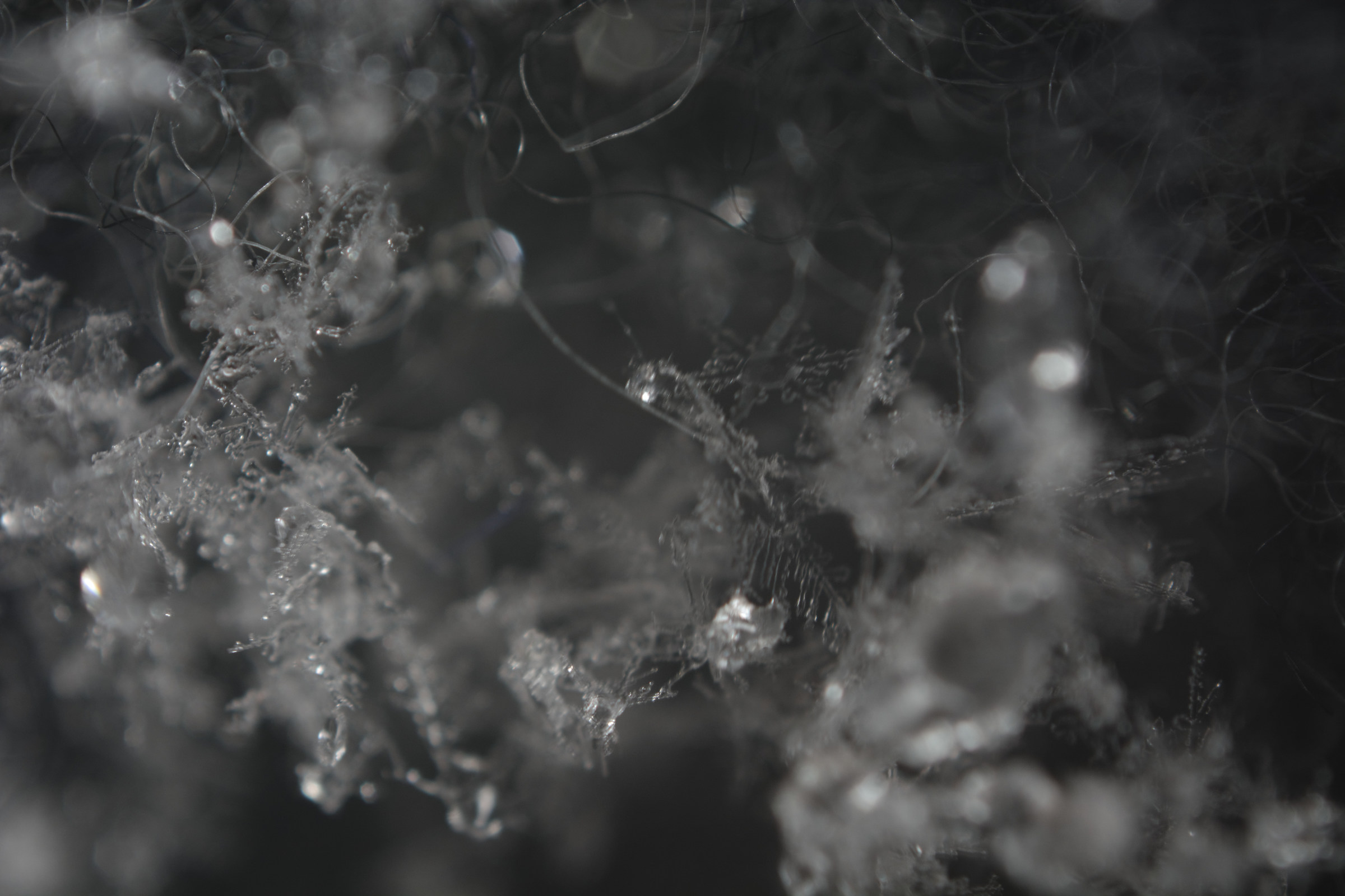 Snow Flakes 03