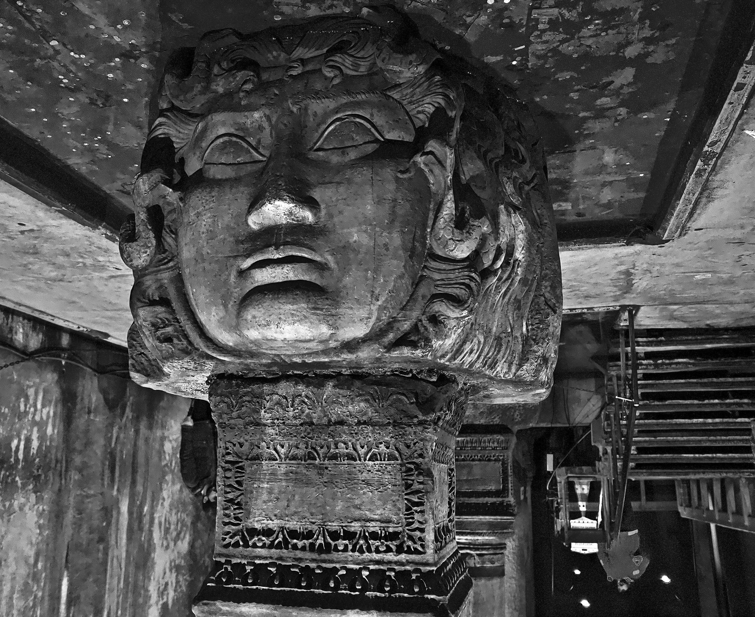 The jellyfish of Istanbul