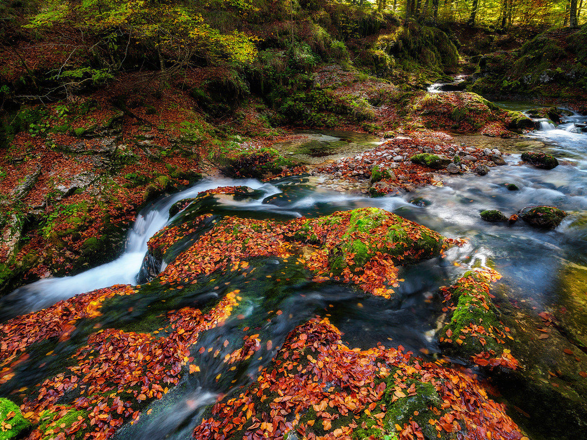 La magia dell'autunno