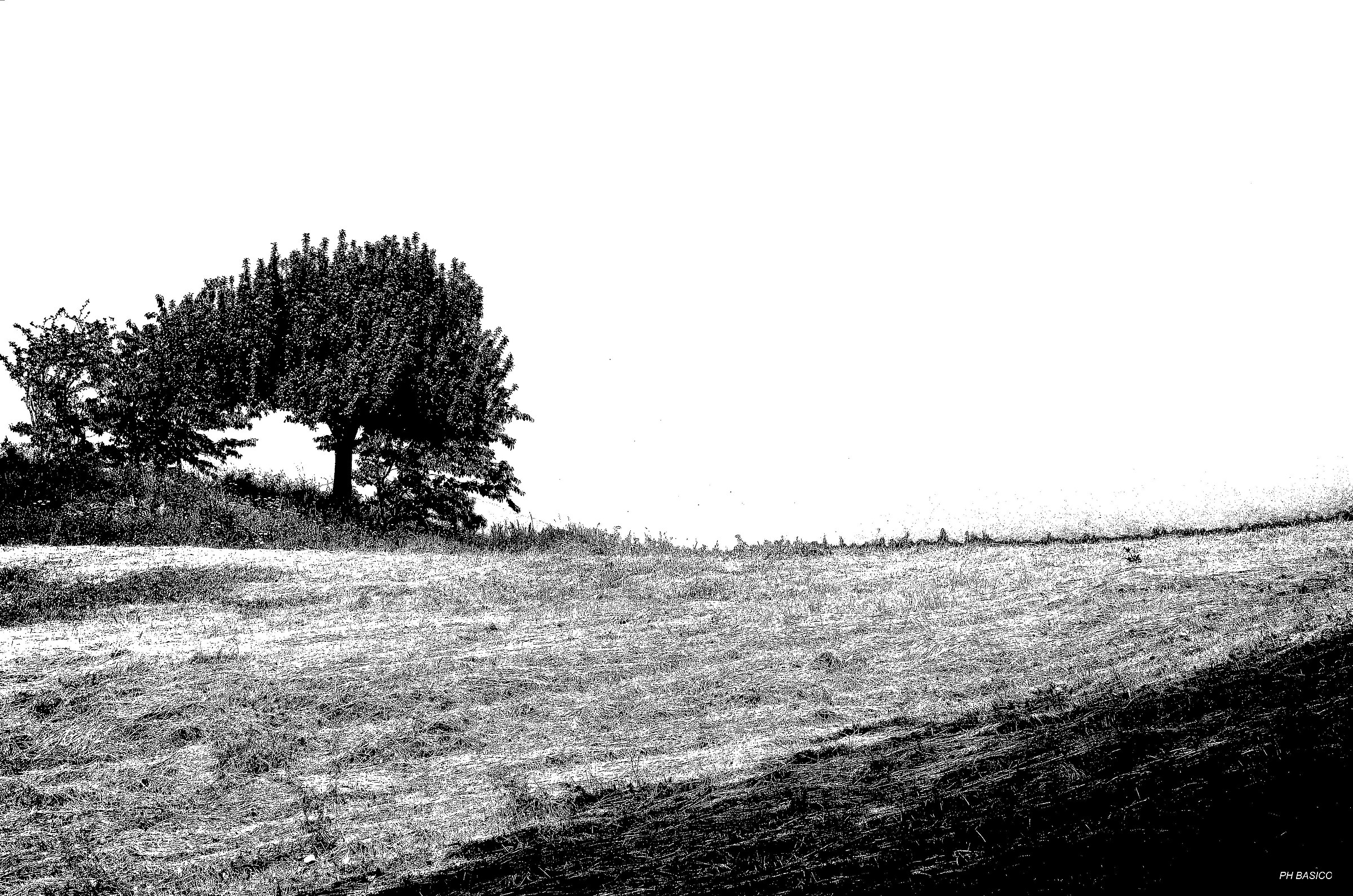 Il respiro della terra