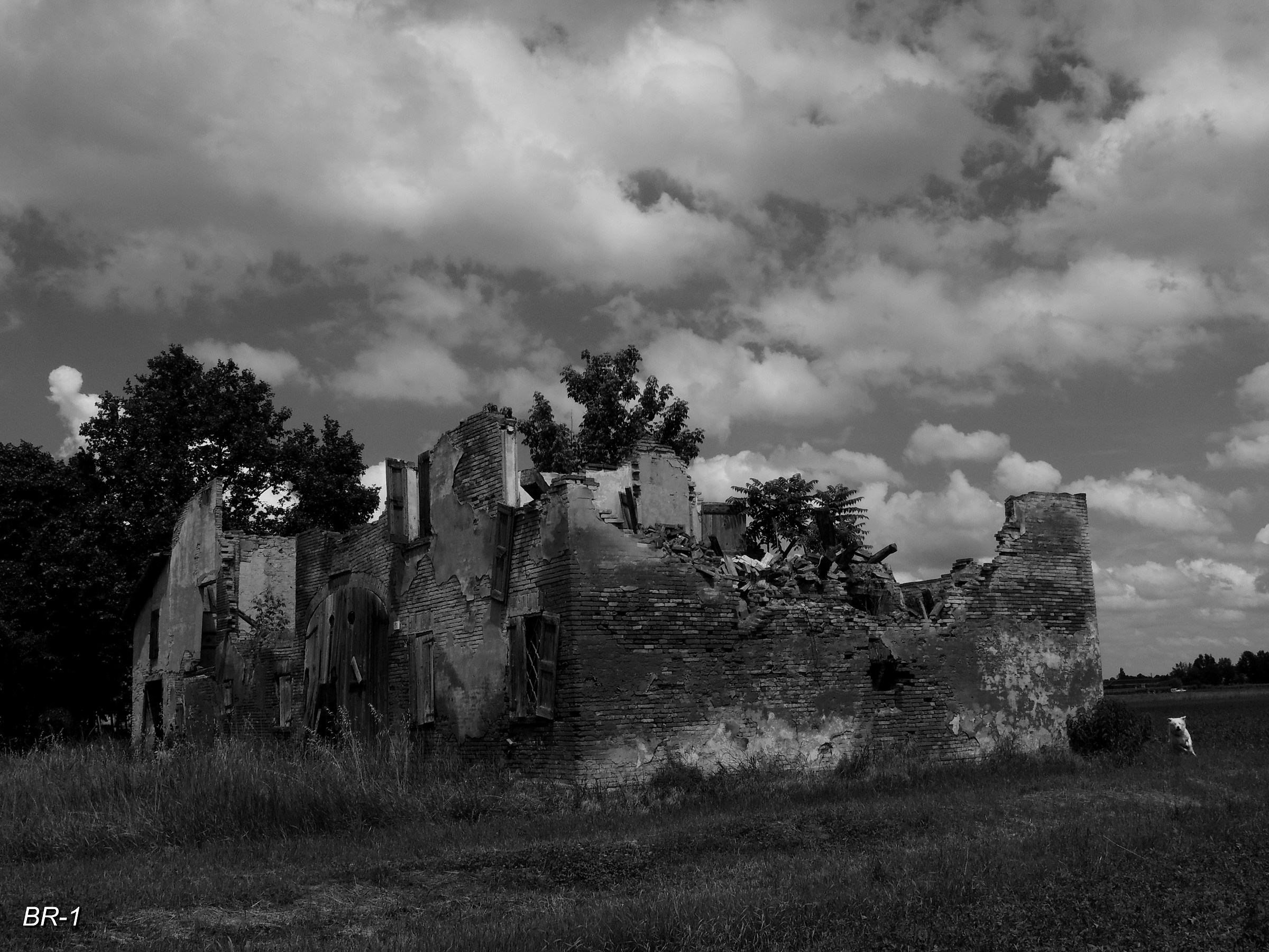 Vecchie mura raccontabo