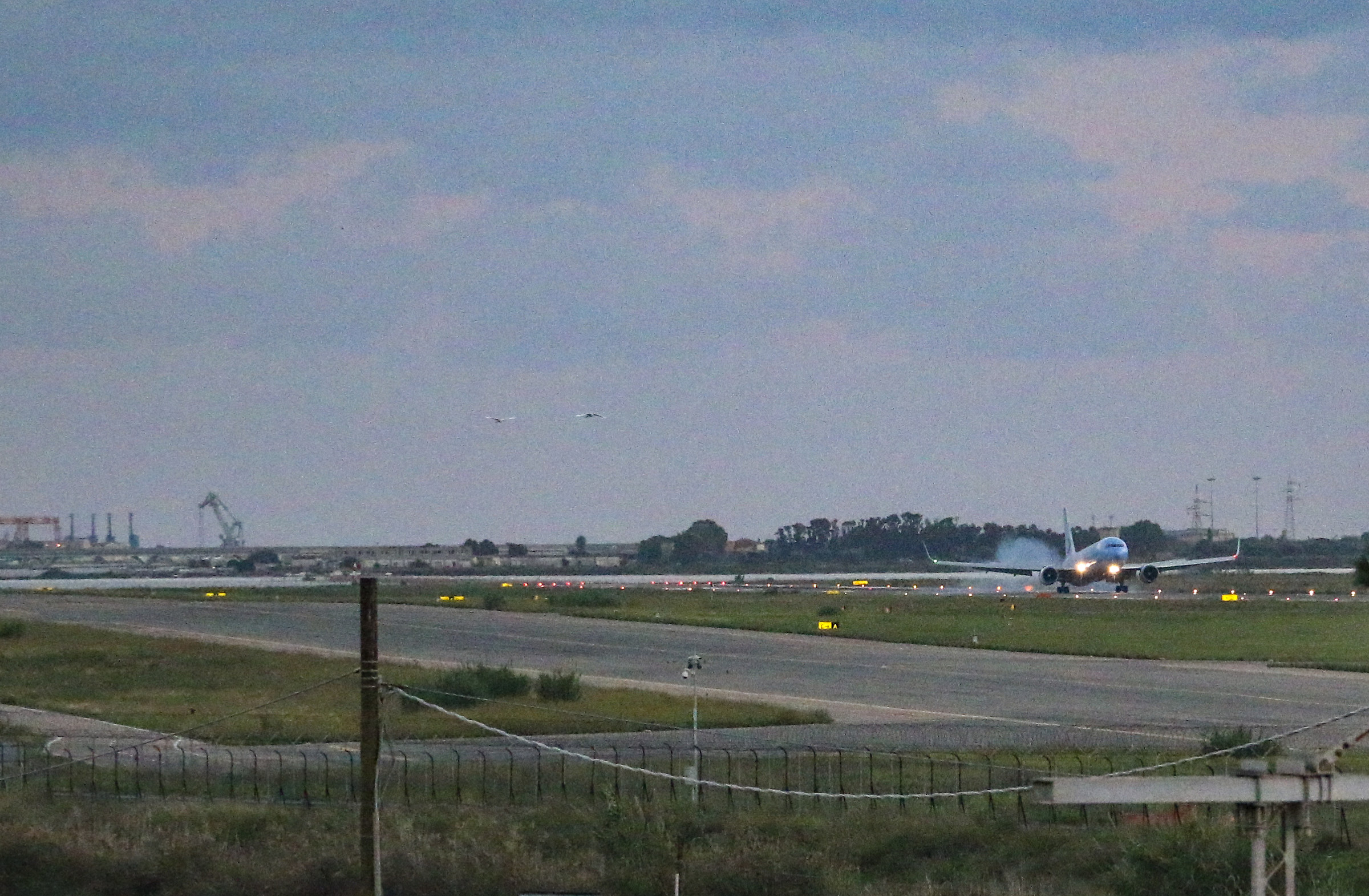 Three big monsters in the distance